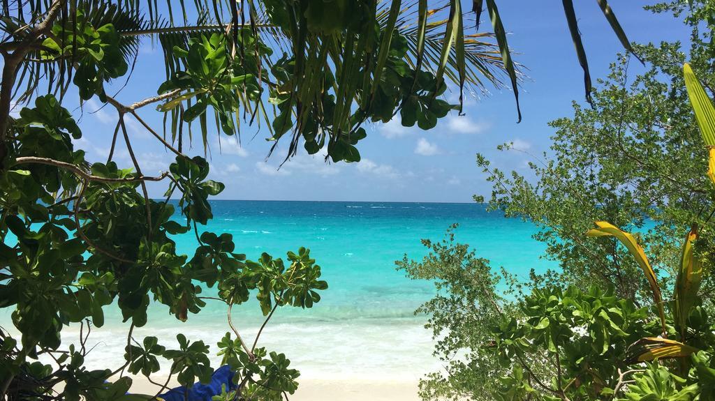 Athiri Beach Maldives Dhigurah  Exteriör bild