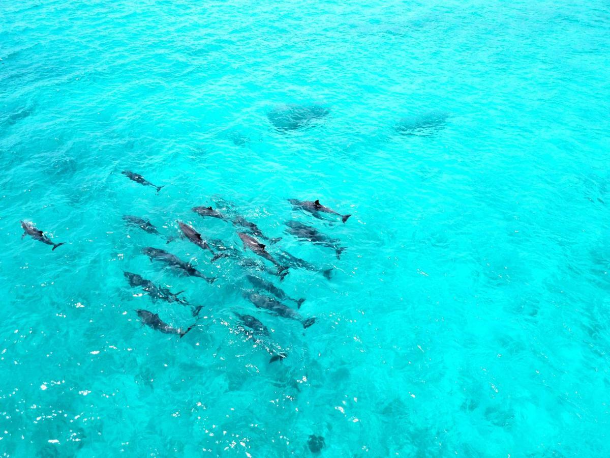 Athiri Beach Maldives Dhigurah  Exteriör bild
