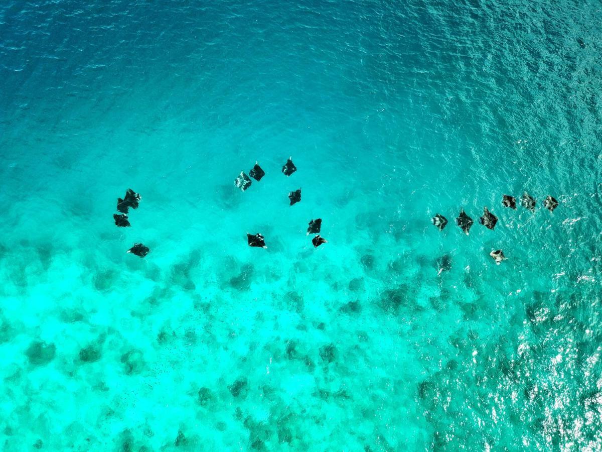 Athiri Beach Maldives Dhigurah  Exteriör bild