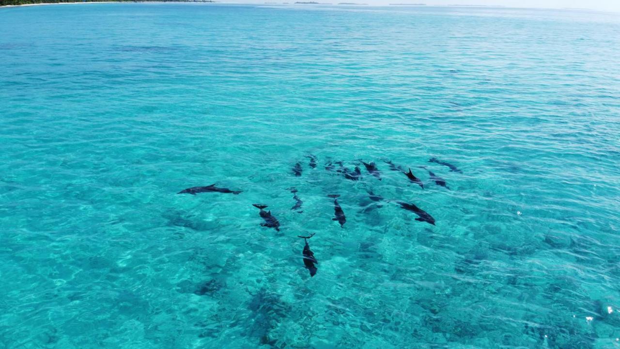 Athiri Beach Maldives Dhigurah  Exteriör bild